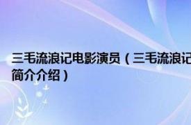 三毛流浪记电影演员（三毛流浪记 1980年虞戡平执导的香港电影相关内容简介介绍）