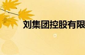 刘集团控股有限公司执行董事简介