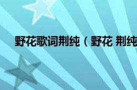 野花歌词荆纯（野花 荆纯演唱歌曲相关内容简介介绍）