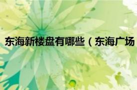 东海新楼盘有哪些（东海广场 上海市的楼盘相关内容简介介绍）