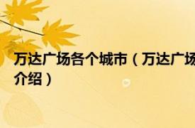 万达广场各个城市（万达广场 中国著名城市综合体相关内容简介介绍）