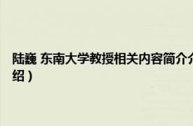 陆巍 东南大学教授相关内容简介介绍（陆巍 东南大学教授相关内容简介介绍）