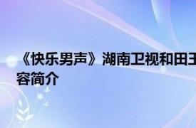 《快乐男声》湖南卫视和田玉娥传媒制作的流行音乐选秀节目内容简介