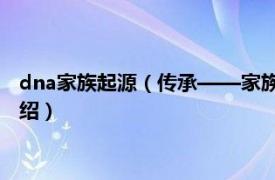 dna家族起源（传承——家族基因的秘密 中国篇相关内容简介介绍）