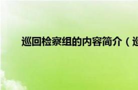 巡回检察组的内容简介（巡回检察组相关内容简介介绍）