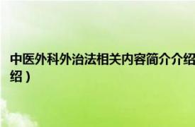 中医外科外治法相关内容简介介绍怎么写（中医外科外治法相关内容简介介绍）