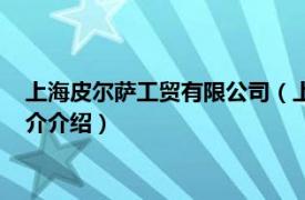 上海皮尔萨工贸有限公司（上海皮尔萨实业有限公司相关内容简介介绍）