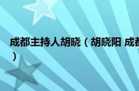 成都主持人胡晓（胡晓阳 成都电视台主任编辑相关内容简介介绍）