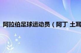 阿拉伯足球运动员（阿丁 土耳其足球运动员相关内容简介介绍）