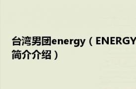 台湾男团energy（ENERGY 中国台湾流行乐男子组合相关内容简介介绍）