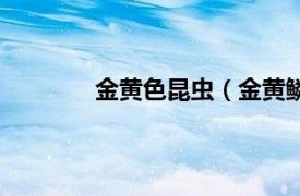 金黄色昆虫（金黄鳞虫相关内容简介介绍）