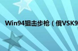 Win94狙击步枪（俄VSK94狙击步枪相关内容简介介绍）