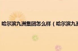 哈尔滨九洲集团怎么样（哈尔滨九洲集团股份有限公司相关内容简介介绍）