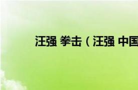 汪强 拳击（汪强 中国拳手相关内容简介介绍）