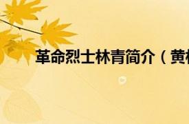 革命烈士林青简介（黄林 烈士相关内容简介介绍）