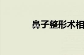 鼻子整形术相关内容简介介绍