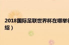 2018国际足联世界杯在哪举行（国际足联世界杯相关内容简介介绍）