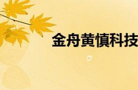 金舟黄慎科技首席执行官简介