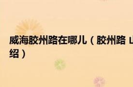 威海胶州路在哪儿（胶州路 山东省威海市胶州路相关内容简介介绍）