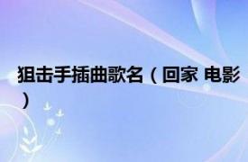 狙击手插曲歌名（回家 电影《狙击手》主题曲相关内容简介介绍）