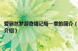 爱丽丝梦游奇境记每一章的简介（爱丽丝梦游奇境记：双语版相关内容简介介绍）