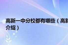 高新一中分校都有哪些（高新一中初中校区电视台相关内容简介介绍）