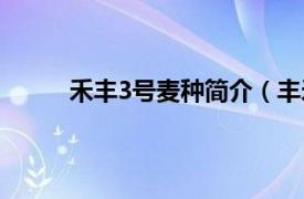 禾丰3号麦种简介（丰禾4号相关内容简介介绍）