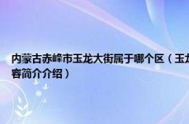 内蒙古赤峰市玉龙大街属于哪个区（玉龙街道 内蒙古自治区赤峰市松山区辖街道相关内容简介介绍）