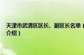 天津市武清区区长、副区长名单（魏力 天津市武清区副区长相关内容简介介绍）