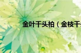 金叶千头柏（金枝千头柏相关内容简介介绍）