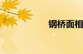 钢桥面相关内容简介