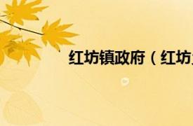 红坊镇政府（红坊乡相关内容简介介绍）