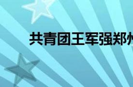 共青团王军强郑州市委组织部长简介