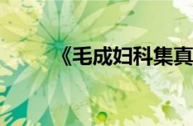 《毛成妇科集真传》相关内容简介