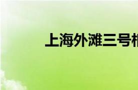 上海外滩三号相关内容简介介绍