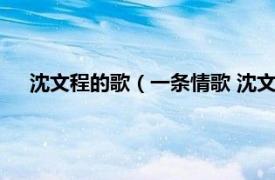 沈文程的歌（一条情歌 沈文程演唱歌曲相关内容简介介绍）