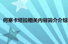 何塞卡塔拉相关内容简介介绍（何塞卡塔拉相关内容简介介绍）