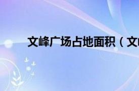 文峰广场占地面积（文峰广场相关内容简介介绍）