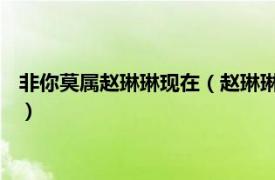 非你莫属赵琳琳现在（赵琳琳 非你莫属求职者相关内容简介介绍）