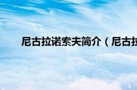 尼古拉诺索夫简介（尼古拉鲍里索夫相关内容简介介绍）