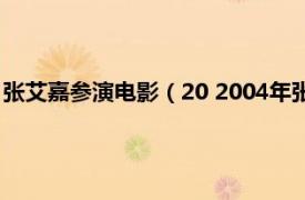 张艾嘉参演电影（20 2004年张艾嘉导演电影相关内容简介介绍）