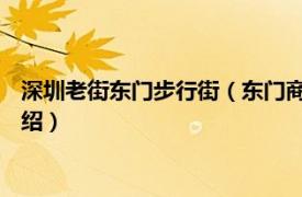 深圳老街东门步行街（东门商业街 深圳东门老街相关内容简介介绍）