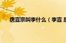 唐宣宗叫李什么（李宣 唐朝宗室相关内容简介介绍）