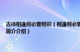 古诗相逢何必曾相识（相逢何必曾相识 白居易诗《琵琶行》句子相关内容简介介绍）