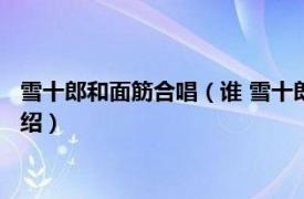 雪十郎和面筋合唱（谁 雪十郎 / 面筋哥演唱歌曲相关内容简介介绍）