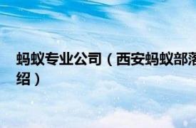 蚂蚁专业公司（西安蚂蚁部落网络科技有限公司相关内容简介介绍）