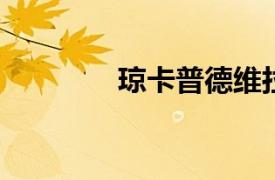 琼卡普德维拉相关内容介绍