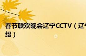 春节联欢晚会辽宁CCTV（辽宁卫视春节联欢晚会相关内容简介介绍）