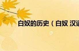 白奴的历史（白奴 汉语新词相关内容简介介绍）