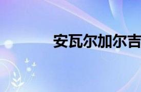 安瓦尔加尔吉亚相关内容介绍